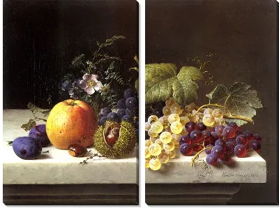 Фрукты и виноград на мраморном выступе (Grapes Plums Etc. On A Marble Ledge)