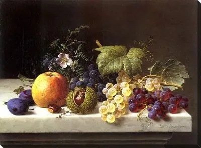 Фрукты и виноград на мраморном выступе (Grapes Plums Etc. On A Marble Ledge)
