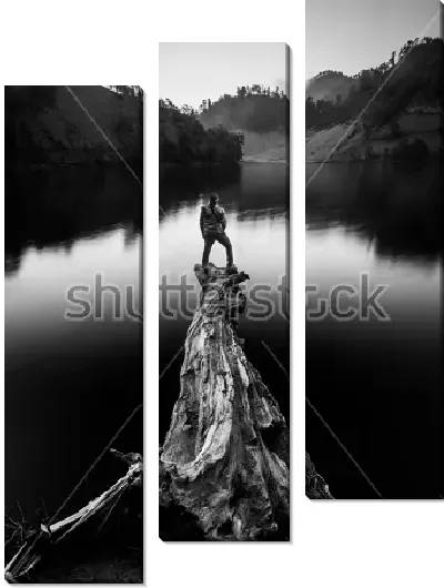 Модульная картина Одинокий путешественник на бревне в озере смотрит вдаль