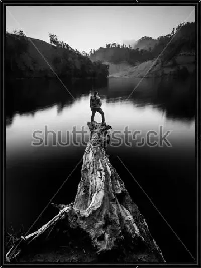 Картина Одинокий путешественник на бревне в озере смотрит вдаль