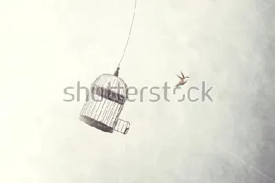 шаблон id 38