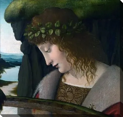 Нарцисс (Narcissus)