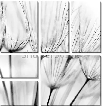 Модульная картина Зонтики одуванчика крупным планом