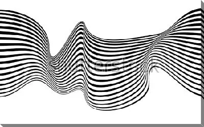 Оптическая иллюзия движения из чёрно-белых линий