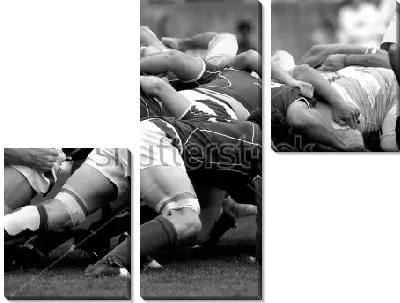 Командная борьба за мяч во время матча по регби