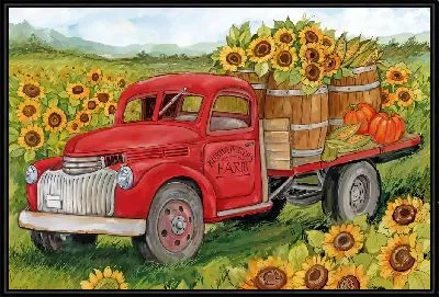 Эмблема каратиста в красном и чёрном круге