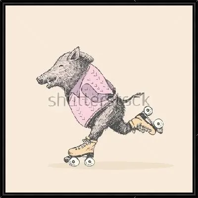 Весёлый кабан в свитере катается на роликовых коньках