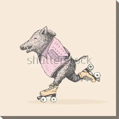 Весёлый кабан в свитере катается на роликовых коньках