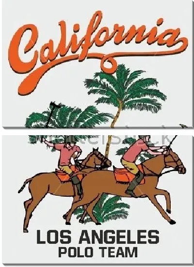 Модульная картина Красочный плакат с игроками конного поло на фоне пальм и надписей