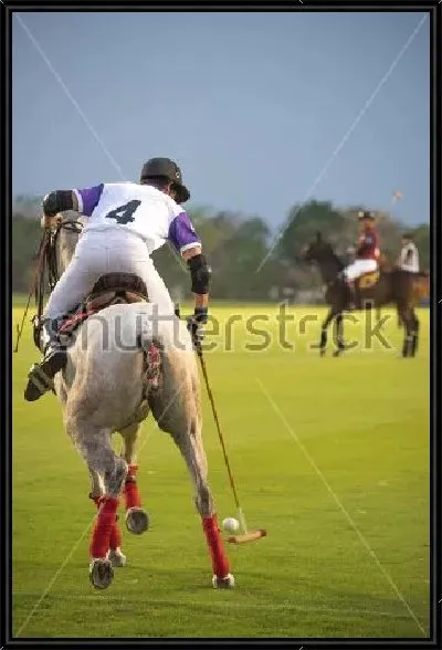 Картина Игрок конного поло бьёт по мячу клюшкой №2