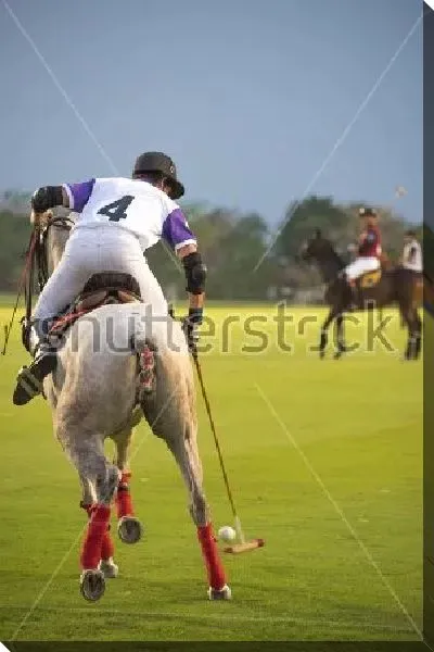 Постер Игрок конного поло бьёт по мячу клюшкой №2