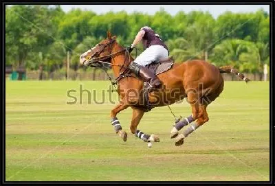 Картина Всадник на лошади парит в воздухе в момент удара по мячу на матче по конному поло