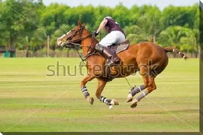 Всадник на лошади парит в воздухе в момент удара по мячу на матче по конному поло