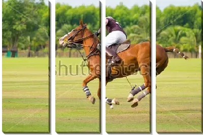 Всадник на лошади парит в воздухе в момент удара по мячу на матче по конному поло