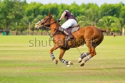 Плакат Всадник на лошади парит в воздухе в момент удара по мячу на матче по конному поло