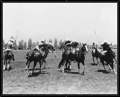 Картина Матч по конному поло №2