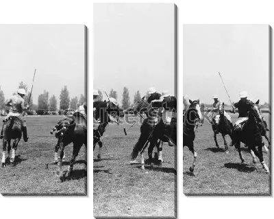 Матч по конному поло №2