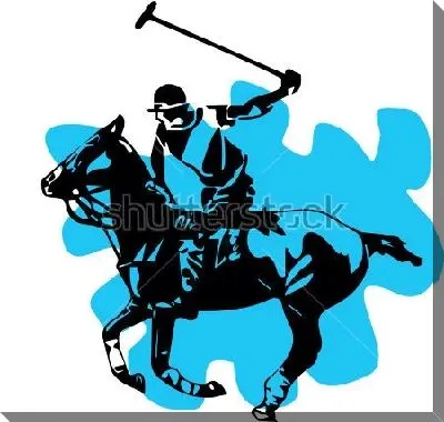 Иллюстрация с чёрным силуэтом игрока конного поло на синем бесформенном фоне