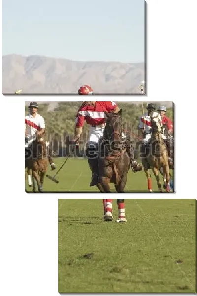 Модульная картина Борьба за мяч на матче по конному поло на фоне красивого горного пейзажа