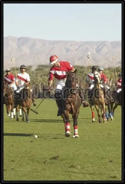 Картина Борьба за мяч на матче по конному поло на фоне красивого горного пейзажа