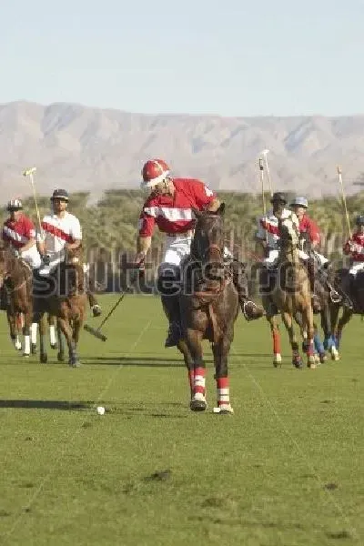 Плакат Борьба за мяч на матче по конному поло на фоне красивого горного пейзажа