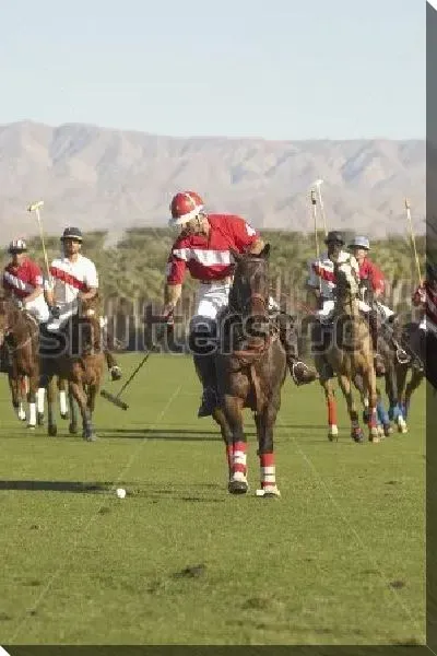 Постер Борьба за мяч на матче по конному поло на фоне красивого горного пейзажа