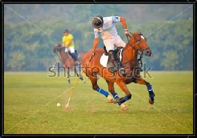 Картина Игрок конного поло бьёт по мячу №2