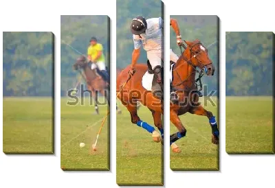 Игрок конного поло бьёт по мячу №2