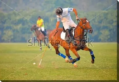 Игрок конного поло бьёт по мячу №2