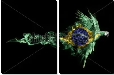 Красивая иллюстрация с летящим попугаем, символом летних Олимпийских игр в Бразилии