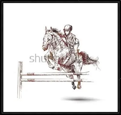 Всадник на гнедой лошади прыгает через барьер на соревнования по конному спорту