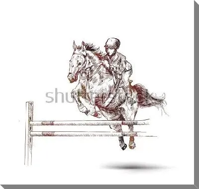 Всадник на гнедой лошади прыгает через барьер на соревнования по конному спорту