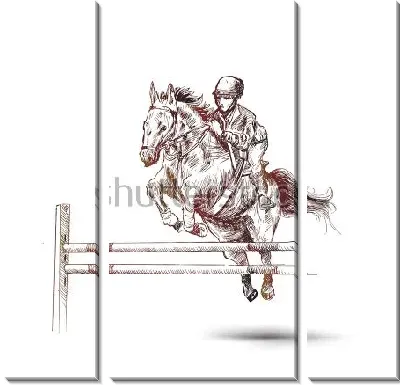 Всадник на гнедой лошади прыгает через барьер на соревнования по конному спорту