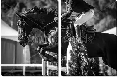 Модульная картина Всадник с конём прыгают через барьер