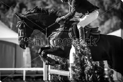 Постер Всадник с конём прыгают через барьер