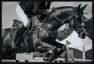 Всадник на коне перепрыгивает через барьер