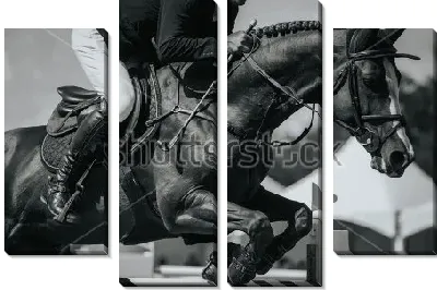 Всадник на коне перепрыгивает через барьер