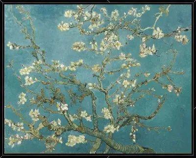 Цветущие ветки миндаля