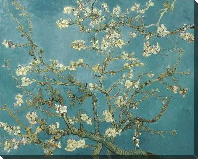 Цветущие ветки миндаля