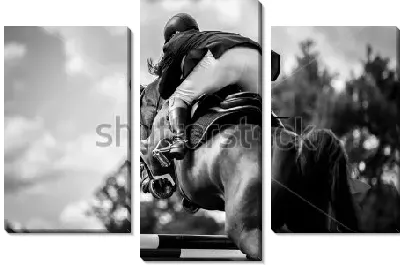Модульная картина Жокей на лошади прыгает через барьер