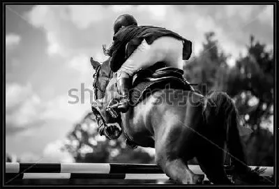 Картина Жокей на лошади прыгает через барьер