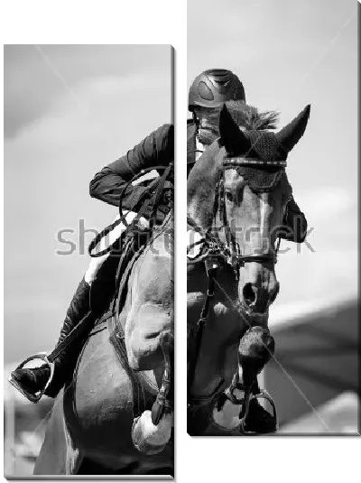 Модульная картина Всадник на лошади в прыжке