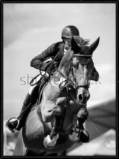Картина Всадник на лошади в прыжке