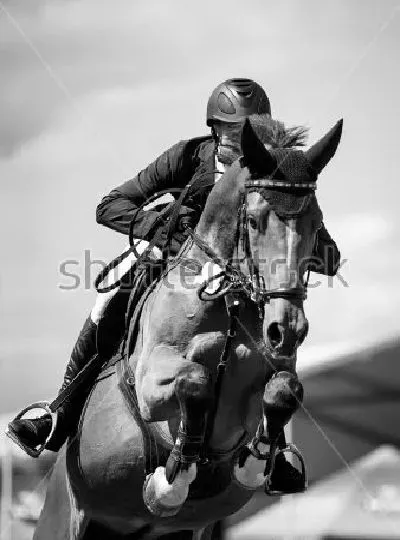 Плакат Всадник на лошади в прыжке