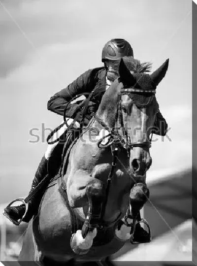 Постер Всадник на лошади в прыжке