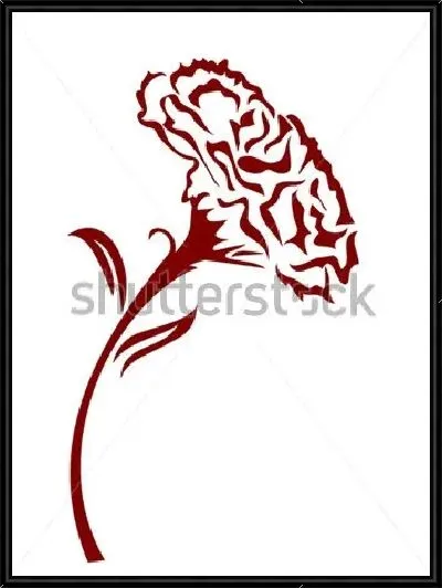 Картина Иллюстрация гвоздики на белом фоне