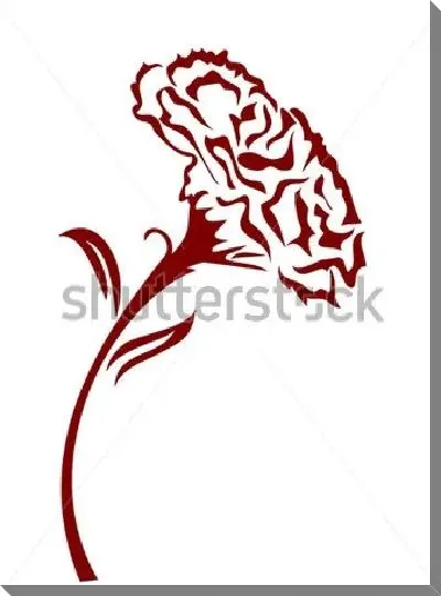 Постер Иллюстрация гвоздики на белом фоне