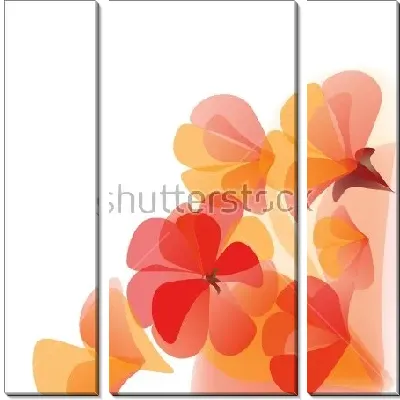 Модульная картина Оранжевые и красные цветы герани на белом фоне