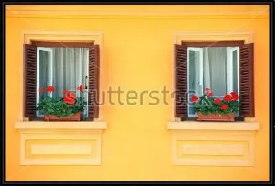 Алая герань на окнах на фоне яркой оранжевой стены