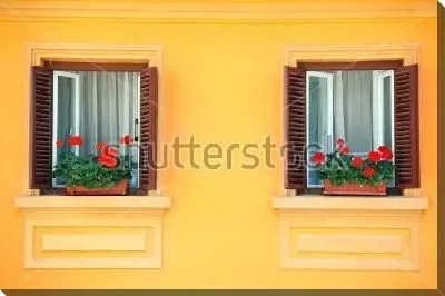 Алая герань на окнах на фоне яркой оранжевой стены